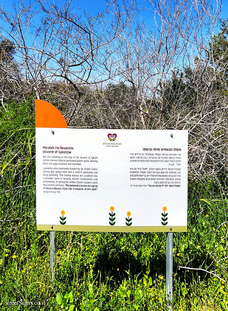 Neot Kedumim Park - Ma’aleh Ha’Besami - Modi’in-Maccabim-Re’ut, Israel