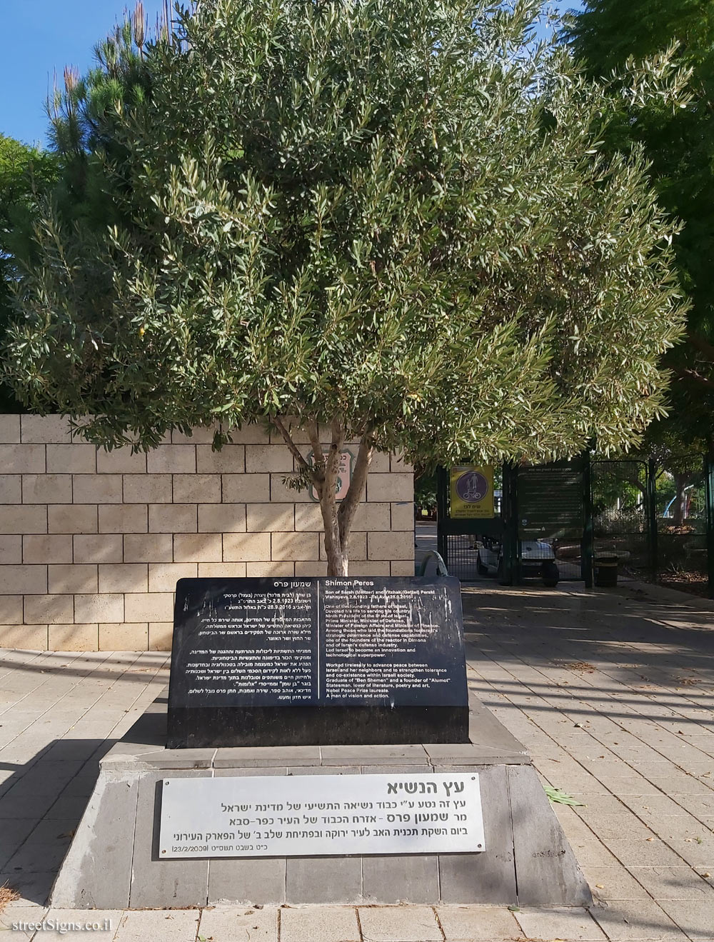 Kfar Saba - The President’s Tree - Mish’ol Ahava 27, Kfar Saba, Israel