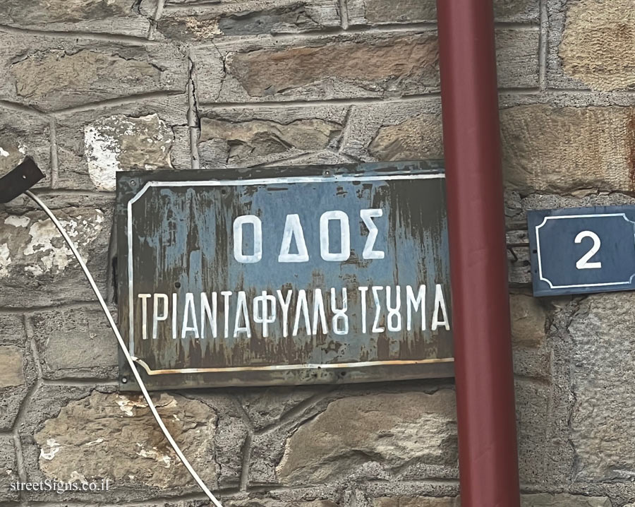 Metsovo - ΤΡΙΑΝΤΑΦΥΛΛΉ ΙΣΗΜΑ Street