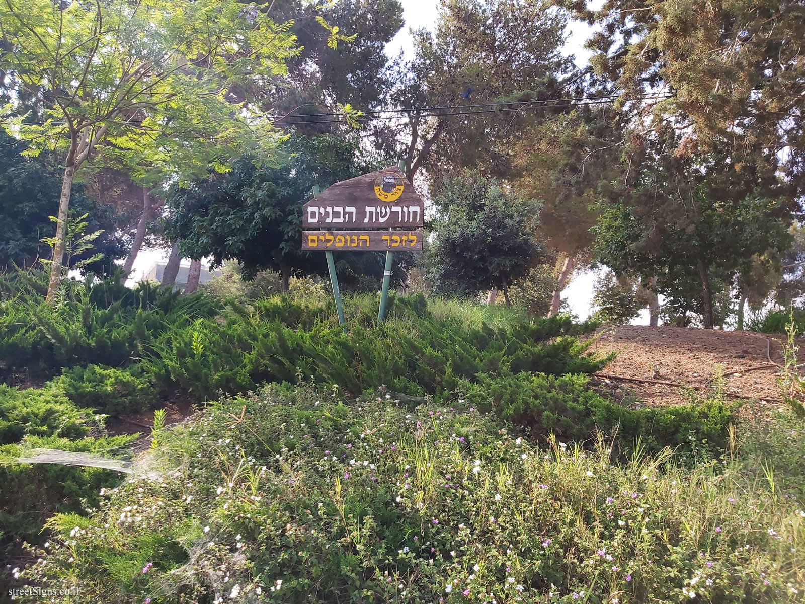 Tzur Moshe - The sons’ grove