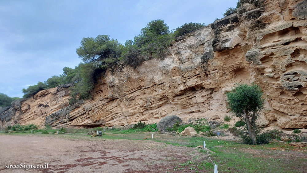 Cascais - Fossil Dune - R. de Oitavos 107e, 2750-374 Cascais, Portugal