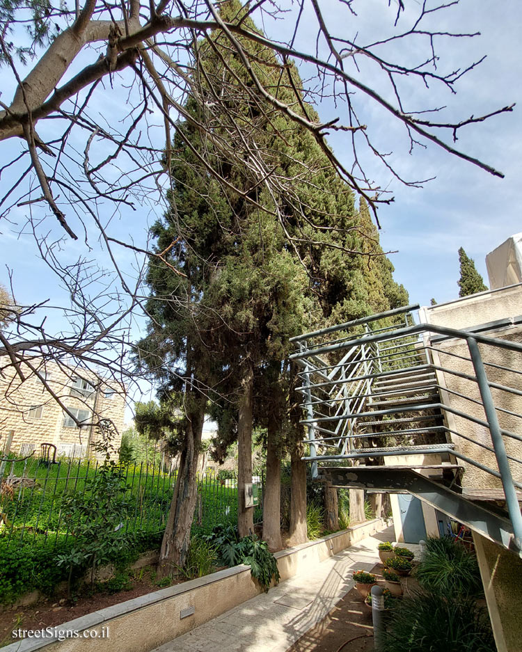 Jerusalem - Agnon’s House - Agnon Garden - Klausner St 16, Jerusalem, Israel