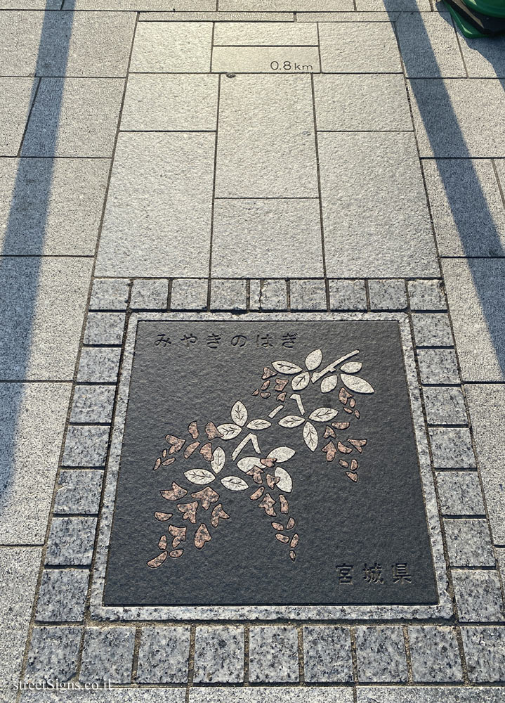 Tokyo - Prefecture Flower Route of Japan - Miyagi - 3 Kokyogaien, Chiyoda City, Tokyo 100-0002, Japan