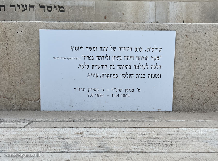 Tel Aviv - Trumpeldor Cemetery - The grave of Meir Dizengoff and Zina Dizengoff - Hovevei Tsiyon St 18, Tel Aviv-Yafo, Israel