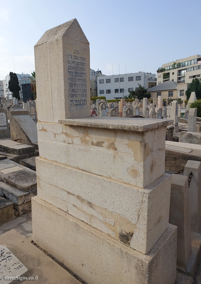 Tel Aviv - Trumpeldor Cemetery - the grave of Horvitz Romemati Ezer