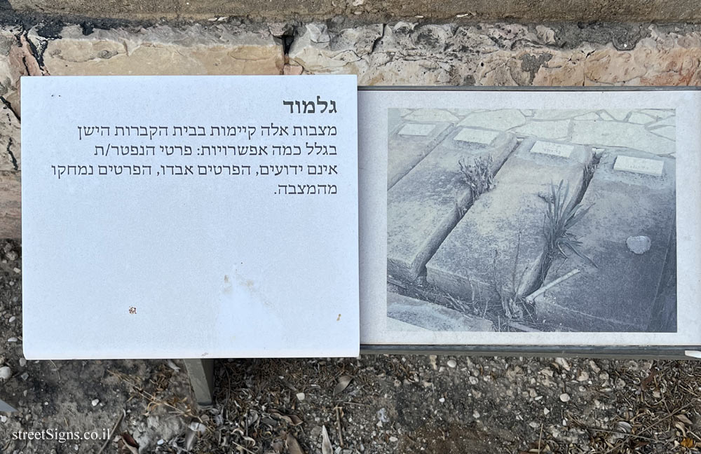 Tel Aviv - Trumpeldor Cemetery - Information about Aryeh Horowitz family and lonely graves - Trumpeldor St 19, Tel Aviv-Yafo, Israel