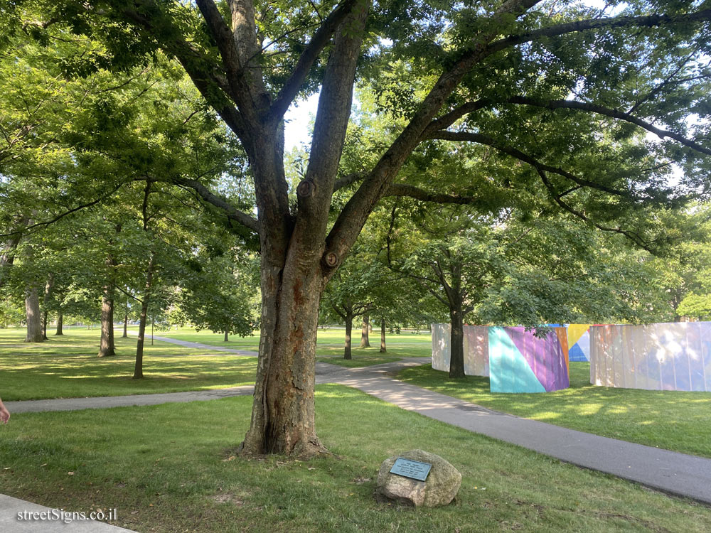 Ithaca - Cornell University - Trees planted by the Class of 1934 - Lincoln Hall, 256 E Ave, Ithaca, NY 14850, USA