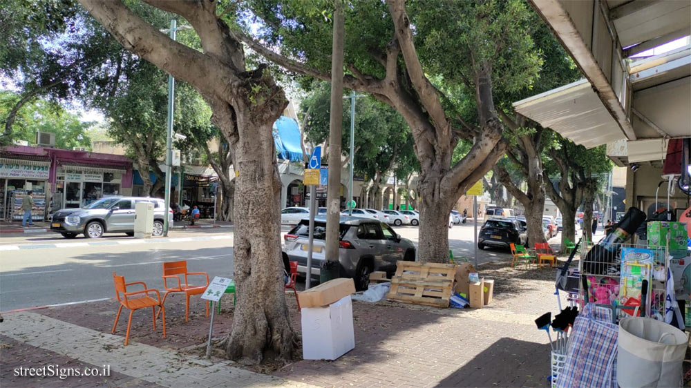 Kfar Saba - The Tree Path - Malayan banyan - Rothschild St 49, Kefar Sava, Israel