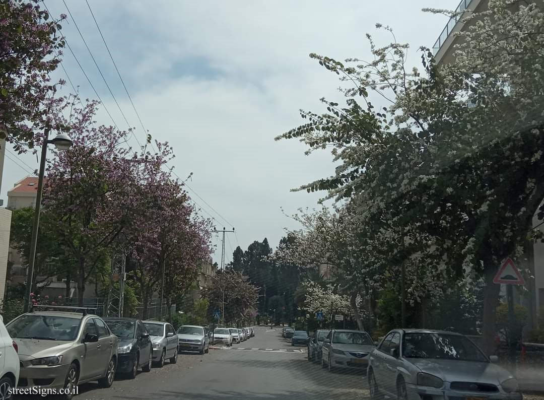 Kfar Saba - The Tree Path - Orchid tree - Ha-Galil St 29, Kefar Sava, Israel