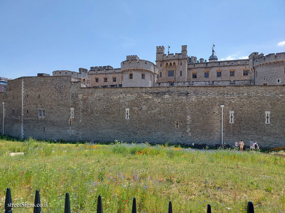 London - The Tower of London Moat - Tower Hill, London EC3N 4DR, UK