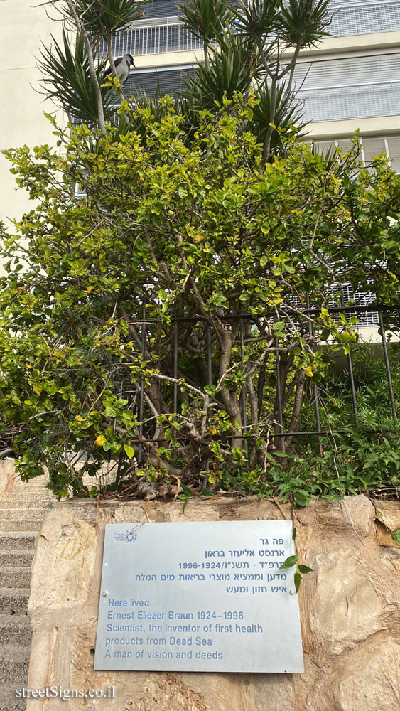 Tel Aviv - the house where inventor Ernest Eliezer Braun lived - Arie Pasternak St 3, Tel Aviv-Yafo, Israel