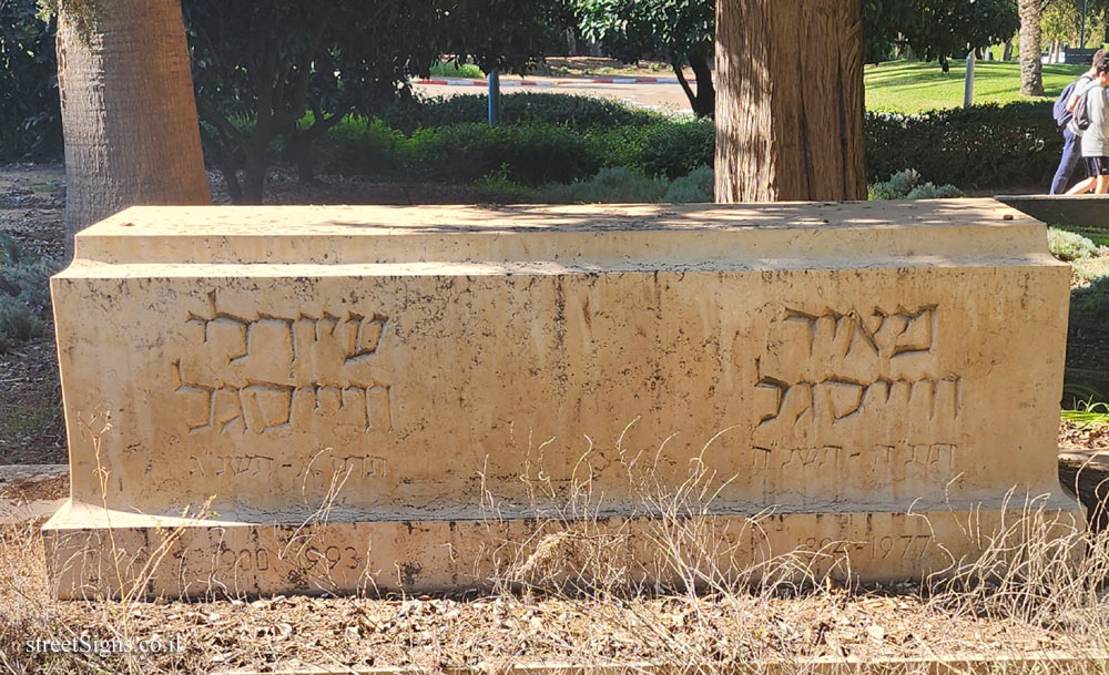 Rehovot - Weizmann Institute of Science - the grave of Meir Weisgal and his wife Shirley - Memorial Plaza, Carmel St 60-68, Rehovot, Israel