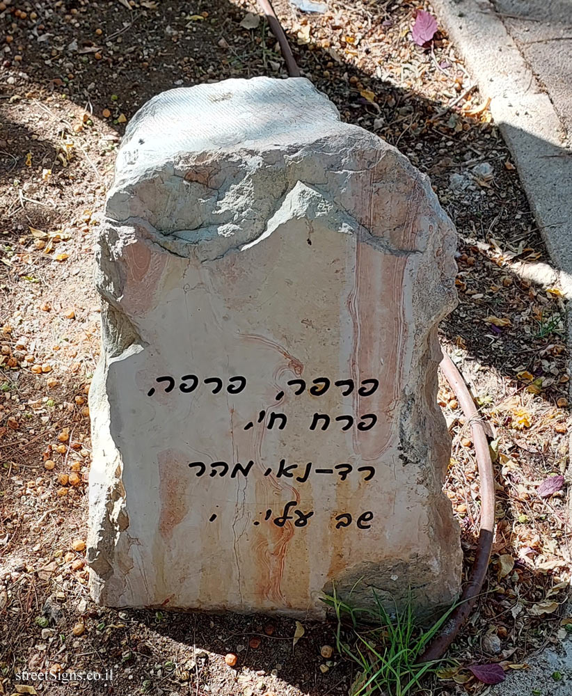 Jerusalem - Beit HaKerem - Bialik Playground - Khayim Nakhman Bialik St 20-22, Jerusalem, Israel