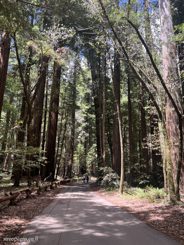 Guerneville - Armstrong Redwoods State Natural Reserve - 16884 Armstrong Woods Rd, Guerneville, CA 95446, USA