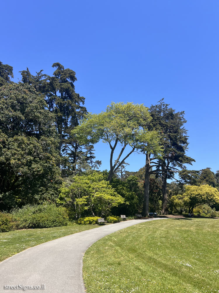 San Francisco - The Botanical Garden - San Francisco Botanical Gardens North Entrance, Australia Walk, San Francisco, CA 94122, USA