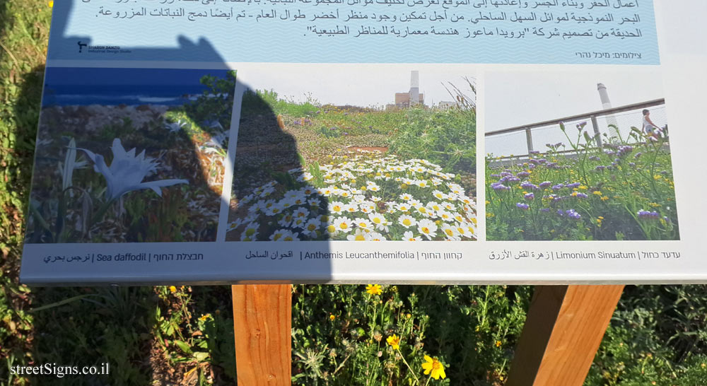 Tel Aviv - Reading Beach Park - Vegetation - HaTayelet 1, Tel Aviv-Jaffa, Israel