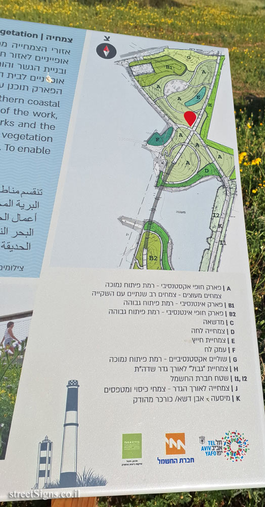 Tel Aviv - Reading Beach Park - Vegetation - HaTayelet 1, Tel Aviv-Jaffa, Israel