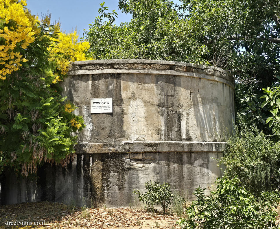 Beit Hanan - The swimming pool - Giv’at ha-Brekha St 9, Beit Hanan, Israel