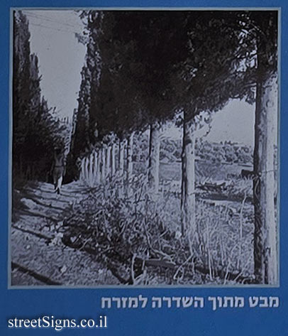 Merhavia - Heritage Sites in Israel - The Avenue of Kisses - Derech HeHaruv 1, Merhavia, 19100, Israel