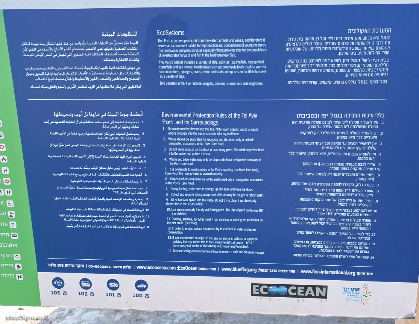 Tel Aviv - Blue Flag Beach - Jaffa Port - The ecosystemt