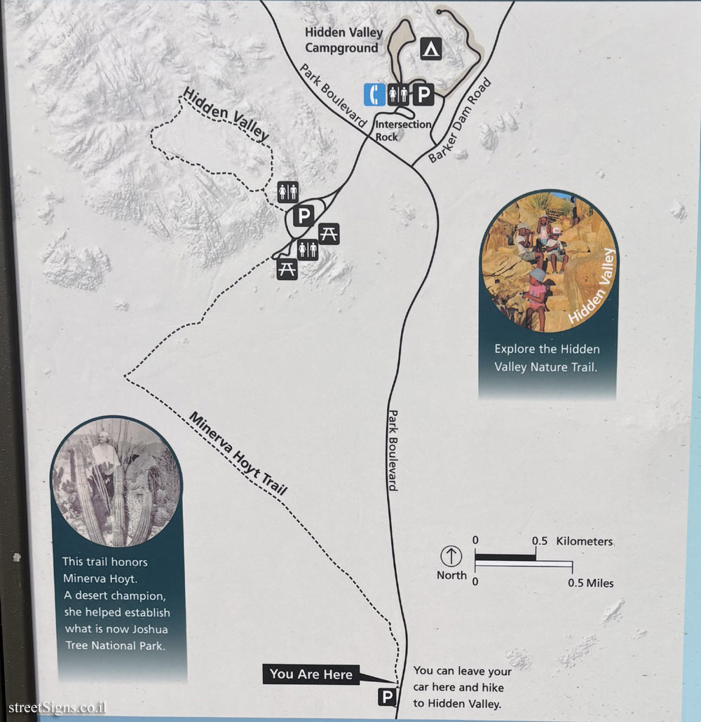 Twentynine Palms - Jehoshua Tree National Park - Minerva Hoyt Trail - Park Blvd, Twentynine Palms, CA 92277, USA
