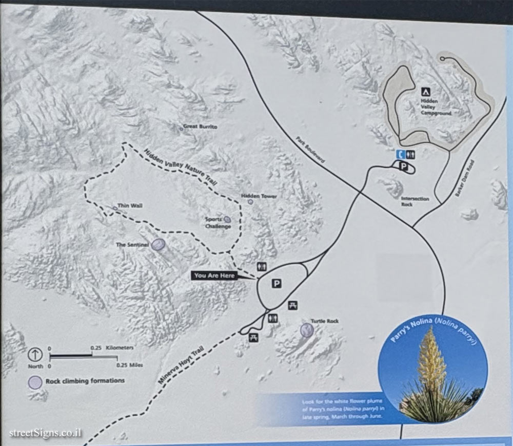 Twentynine Palms - Jehoshua Tree National Park - Hidden Valley Trail - Hidden Valley Nature, Twentynine Palms, CA 92277, USA
