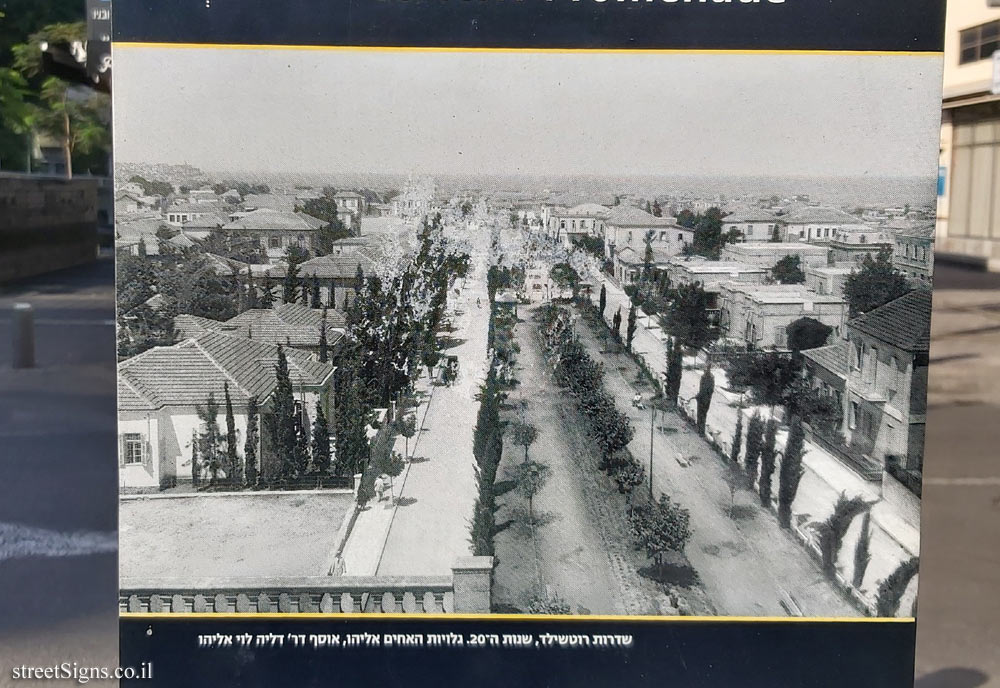 Tel Aviv - Herzl Street (About Rothschild Boulevard)