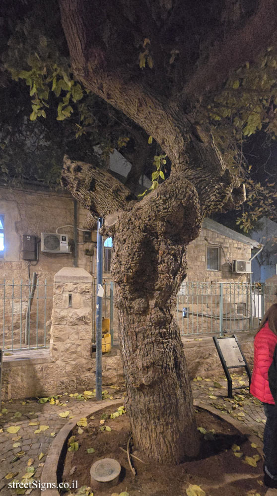 erusalem - Photograph in stone - Gan Hatut - Yossi Banai - HaGilboa St 3, Jerusalem, Israel