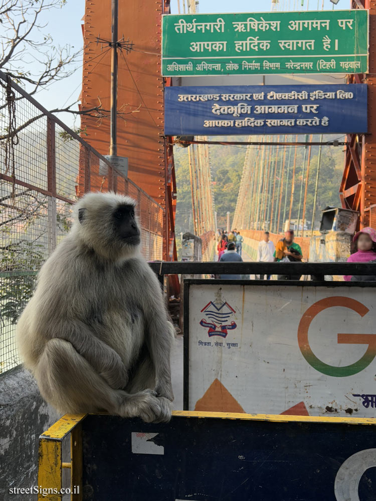 Rishikesh - Entrance to the city, Ram Jhula Bridge - 20, Swarg Ashram, Rishikesh, Uttarakhand 249137, India
