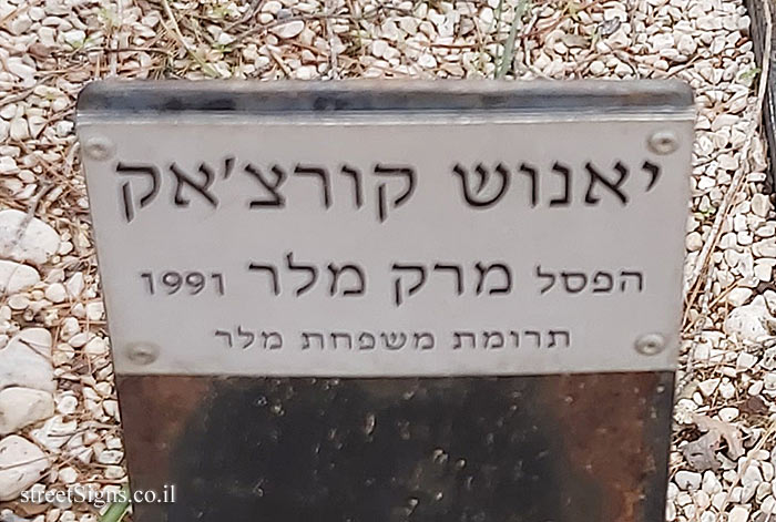 סביון - "יאנוש קורצאק" פסל של מרק מלר