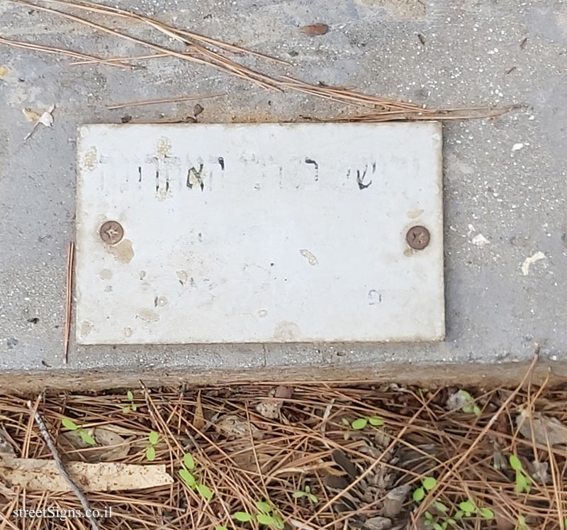 סביון - "... בדרכי האחרונה" פסל של מרק מלר