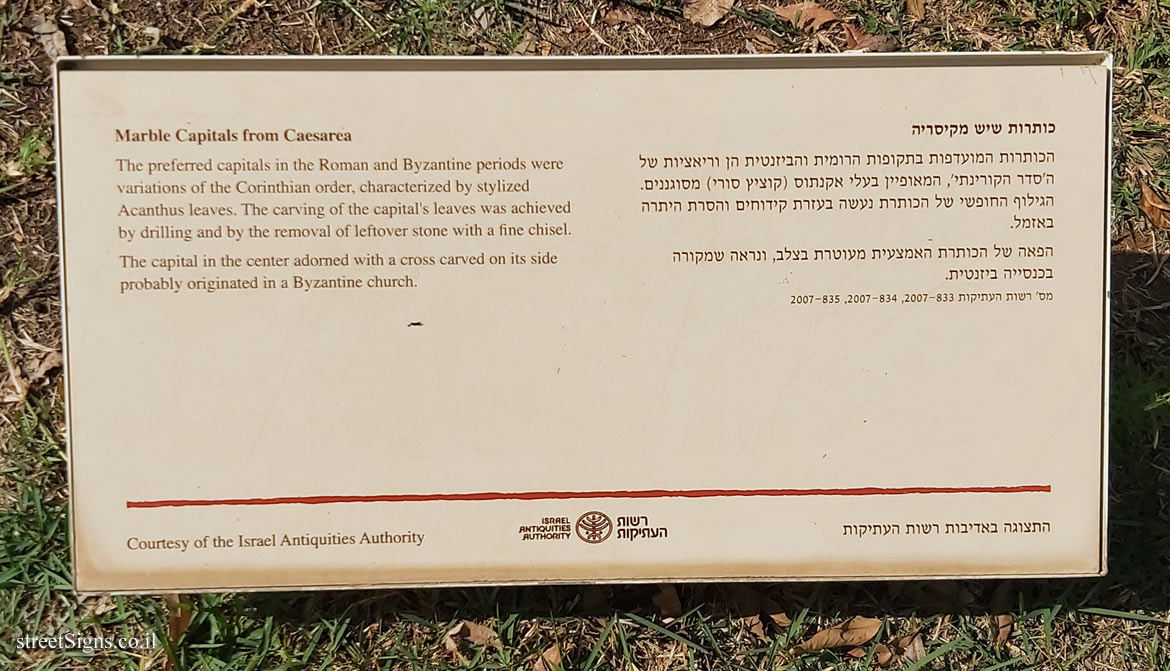 Herzliya - Reichman University - Marble Capitals from Caesarea