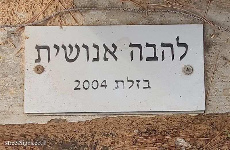 סביון - "להבה אנושית" פסל של מרק מלר