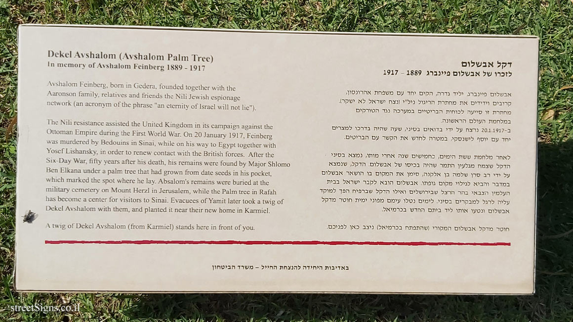 Herzliya - Reichman University - Dekel Avshalom