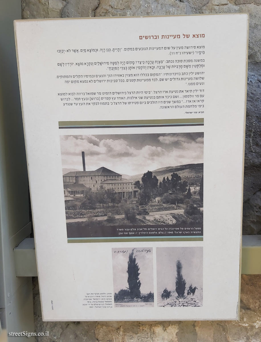 מוצא עילית - מוצא של מעיינות וברושים
