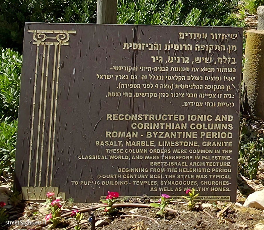 Kibbutz Lavi - Restoration of columns from the Roman and Byzantine periods