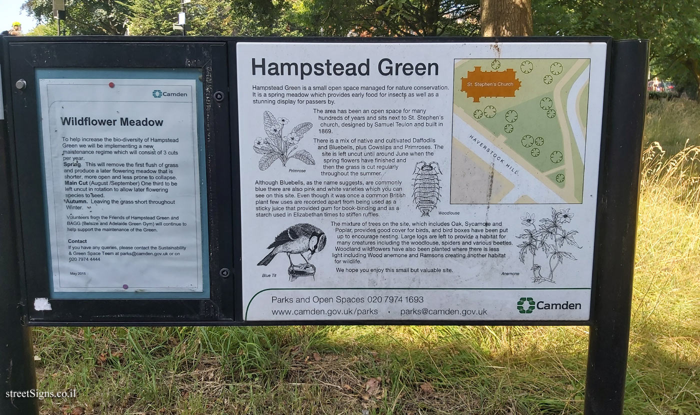 לונדון - Hampstead Green