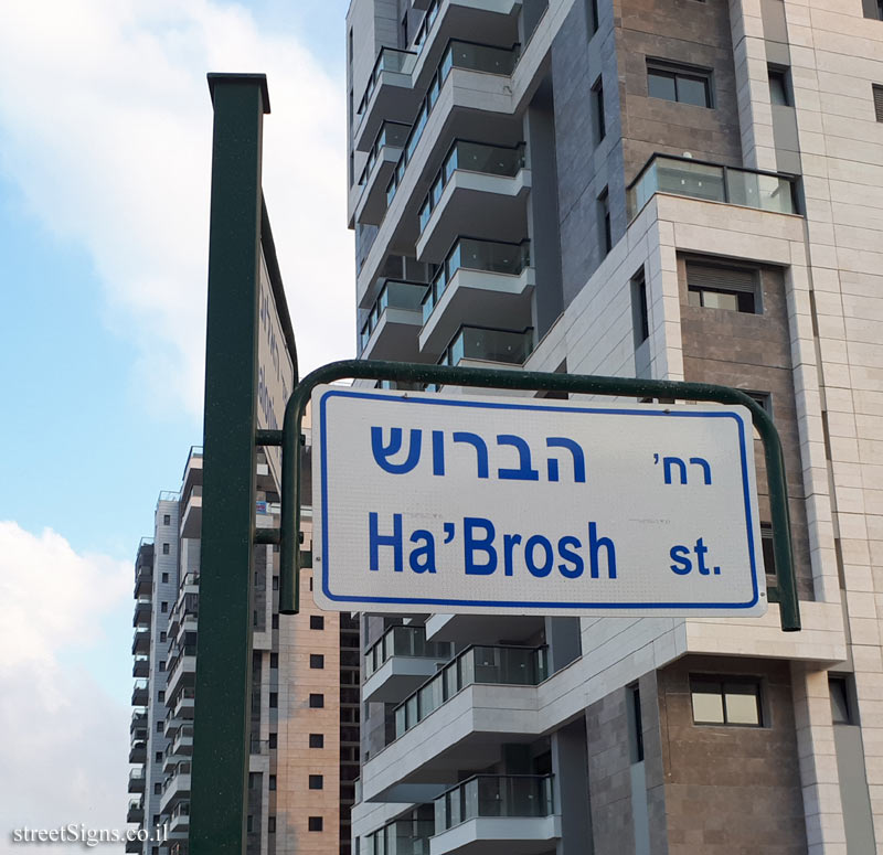Be’er Ya’akov - Junction HaBrosh Street and Alonim Boulevard