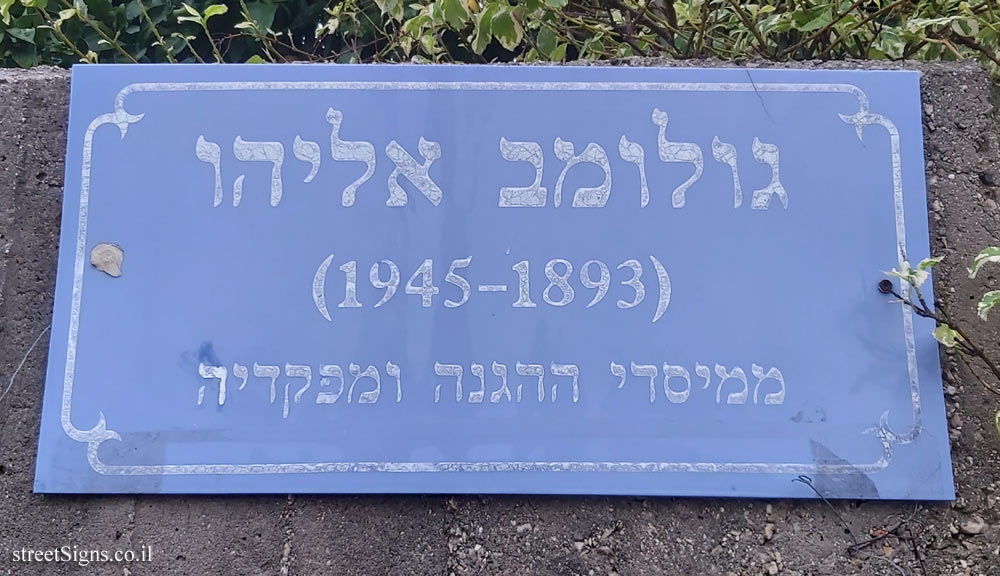 Kfar Saba - Golomb Eliyahu Street