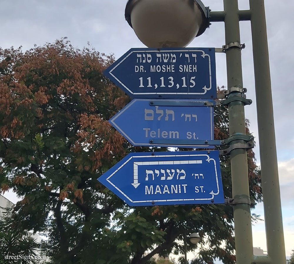 Kfar Saba - 3 versions of the same type of sign on one pole