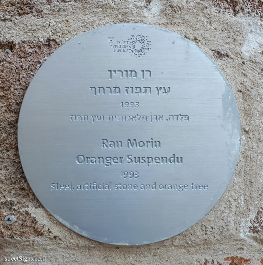 Tel Aviv - Old Jaffa - "Suspended Orange Tree" - Outdoor sculpture by Ran Morin