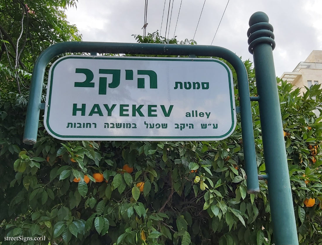 Rehovot - Hayekev alley