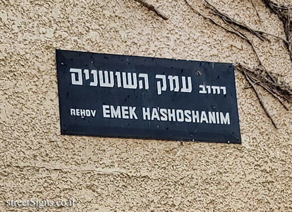 Ness Ziona - Emek ha-Shoshanim Street