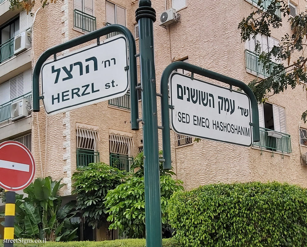 Ness Ziona - The intersection of Herzl and the Emeq HaShoshanim streets