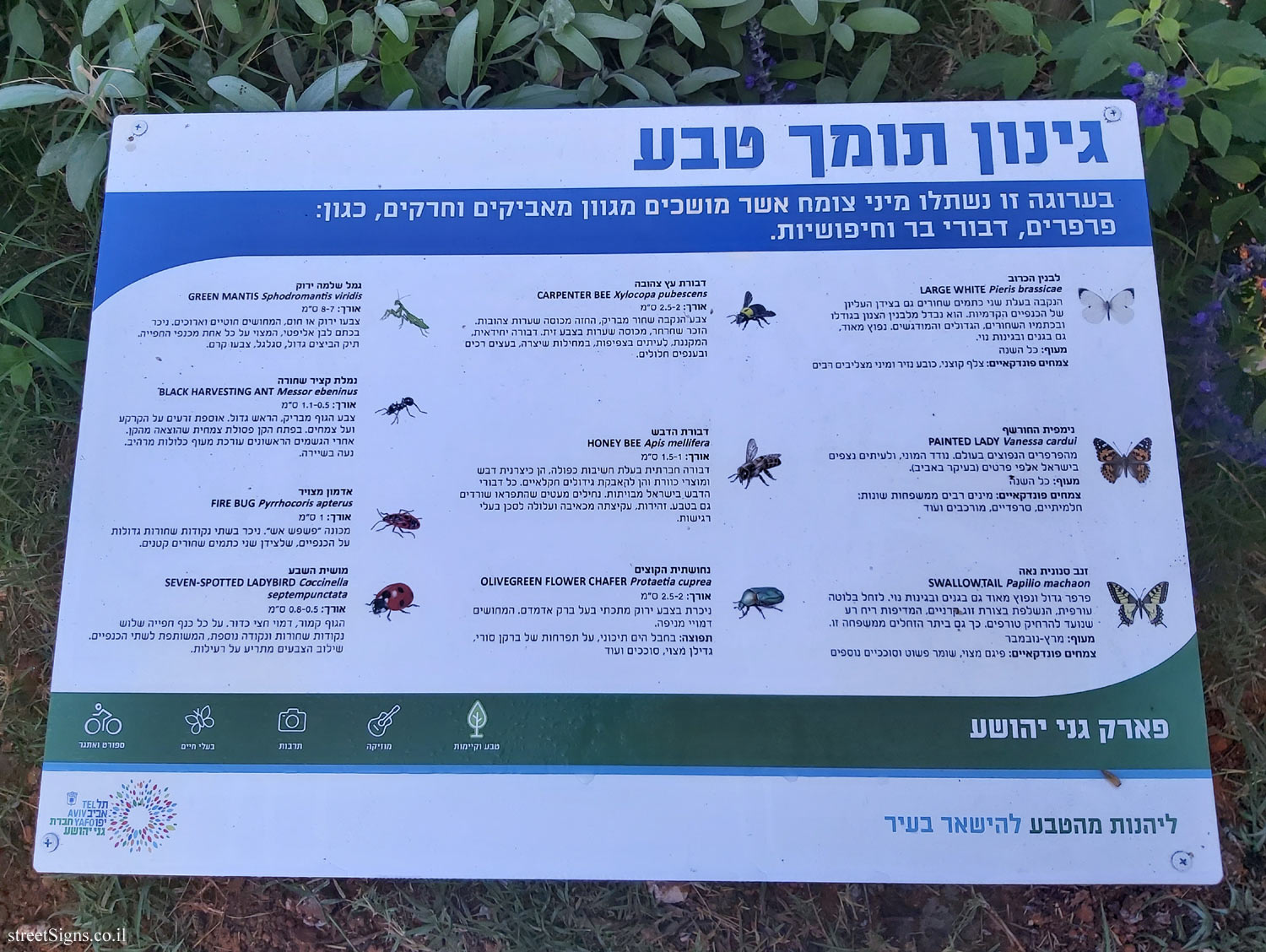 Tel Aviv - Hayarkon Park - Gardening supporting nature