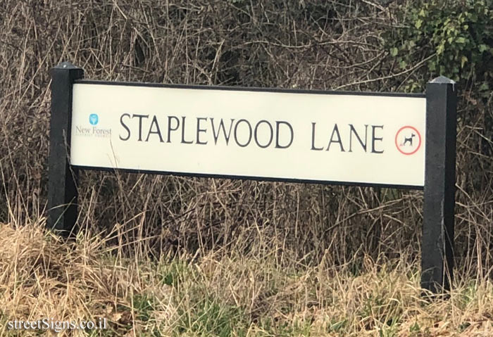 Southampton - Staplewood Lane