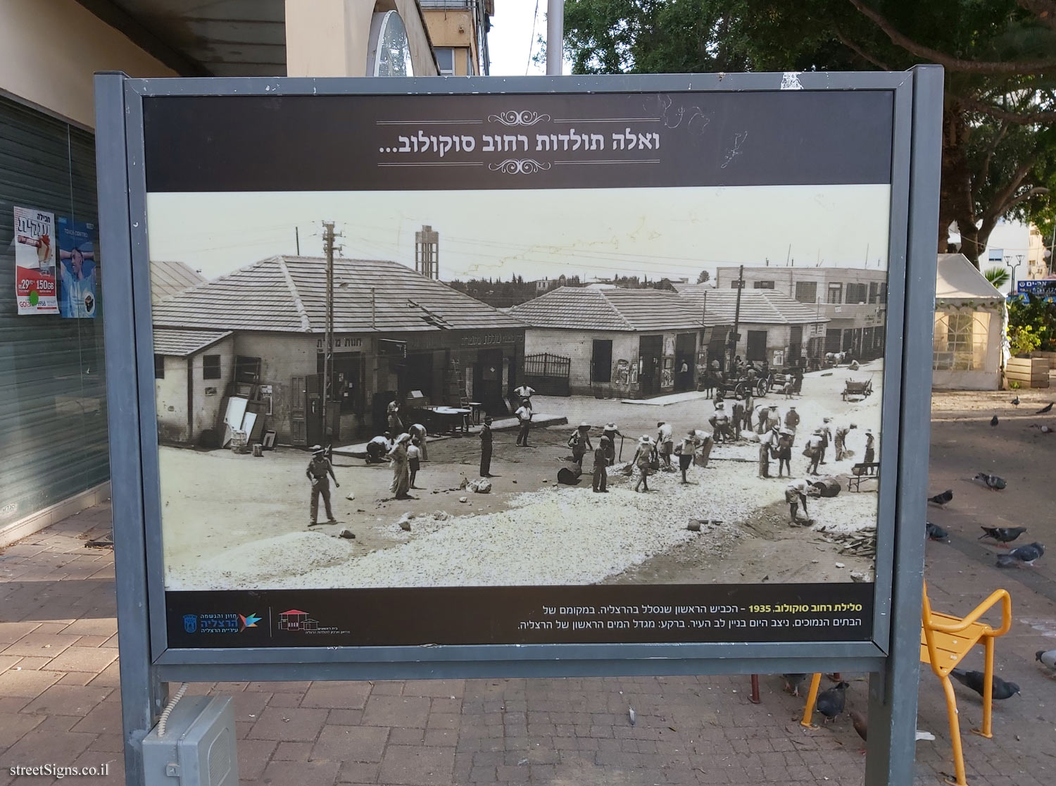 Herzliya - and this is the history of Sokolov Street - Paving Sokolov Street