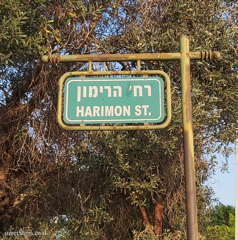 Sde Warburg - HaRimon Street