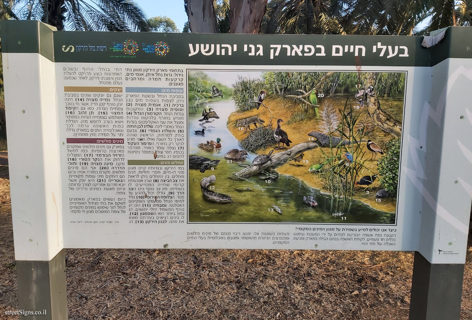 Tel Aviv - Hayarkon Park - Animals in Ganei Yehoshua Park
