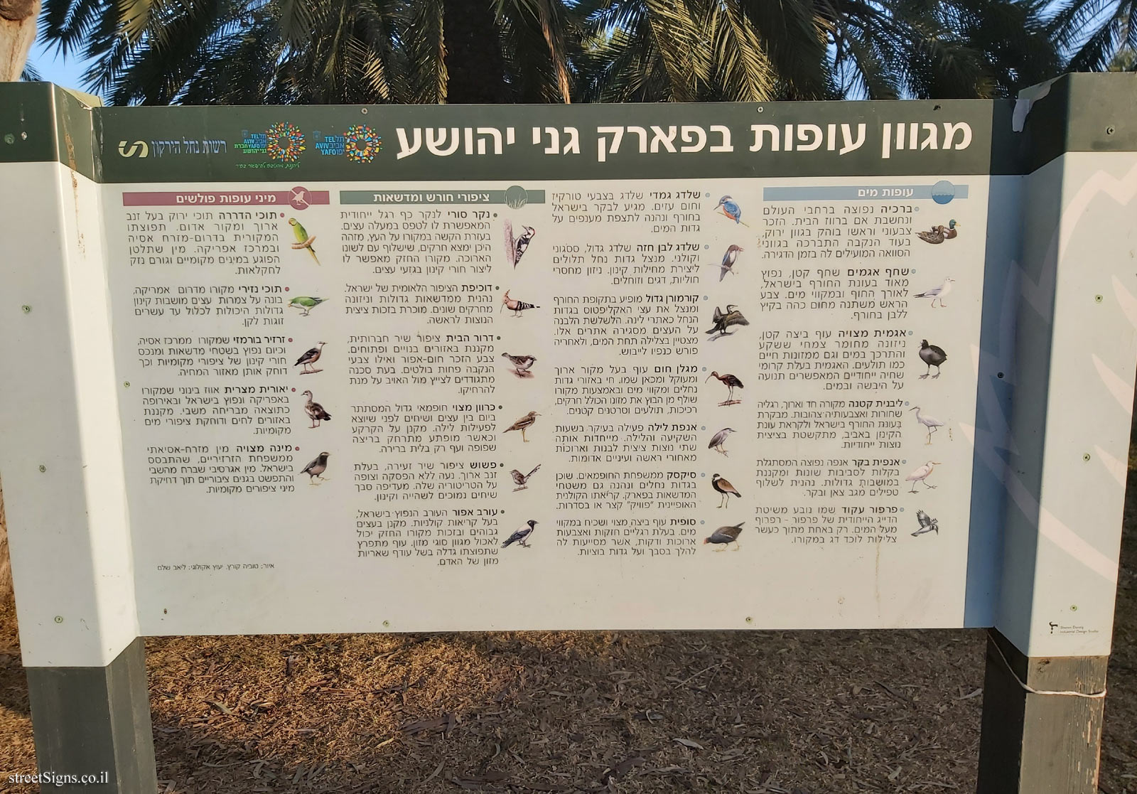Tel Aviv - Hayarkon Park - A variety of birds in Ganei Yehoshua Park